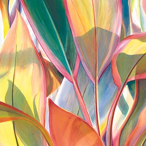 Watercolors